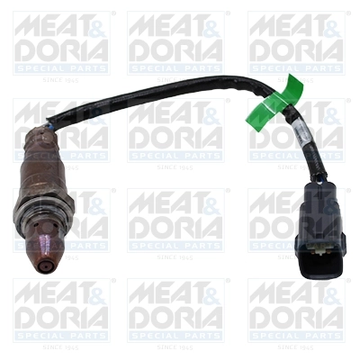 Oxygen Sensor